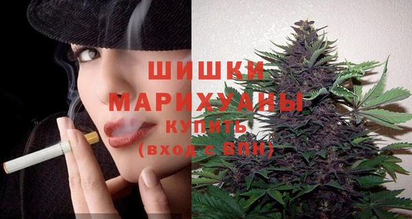 apvp Алзамай