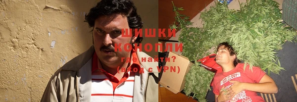 apvp Алзамай