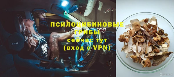 apvp Алзамай
