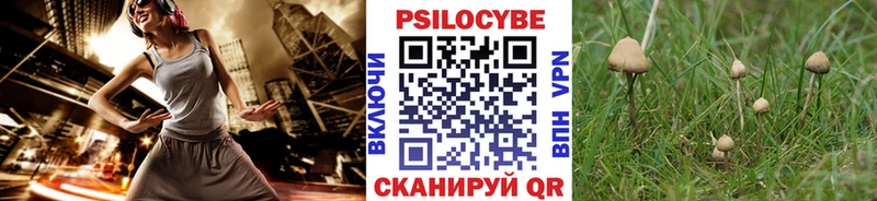 ссылка на мегу как зайти  Белебей  Галлюциногенные грибы мухоморы 
